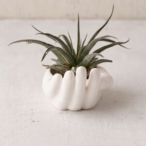 White Ceramic Hand Planter